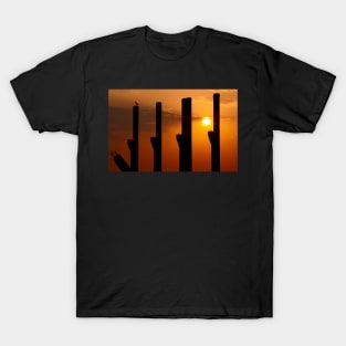 Pillars at sunset with a stark T-Shirt